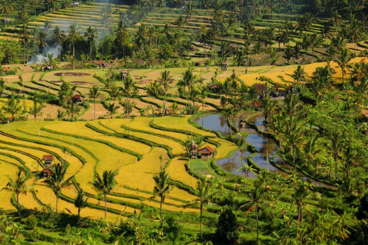 Bali Munduk Delux Bungalow Villa سينغاراجا المظهر الخارجي الصورة