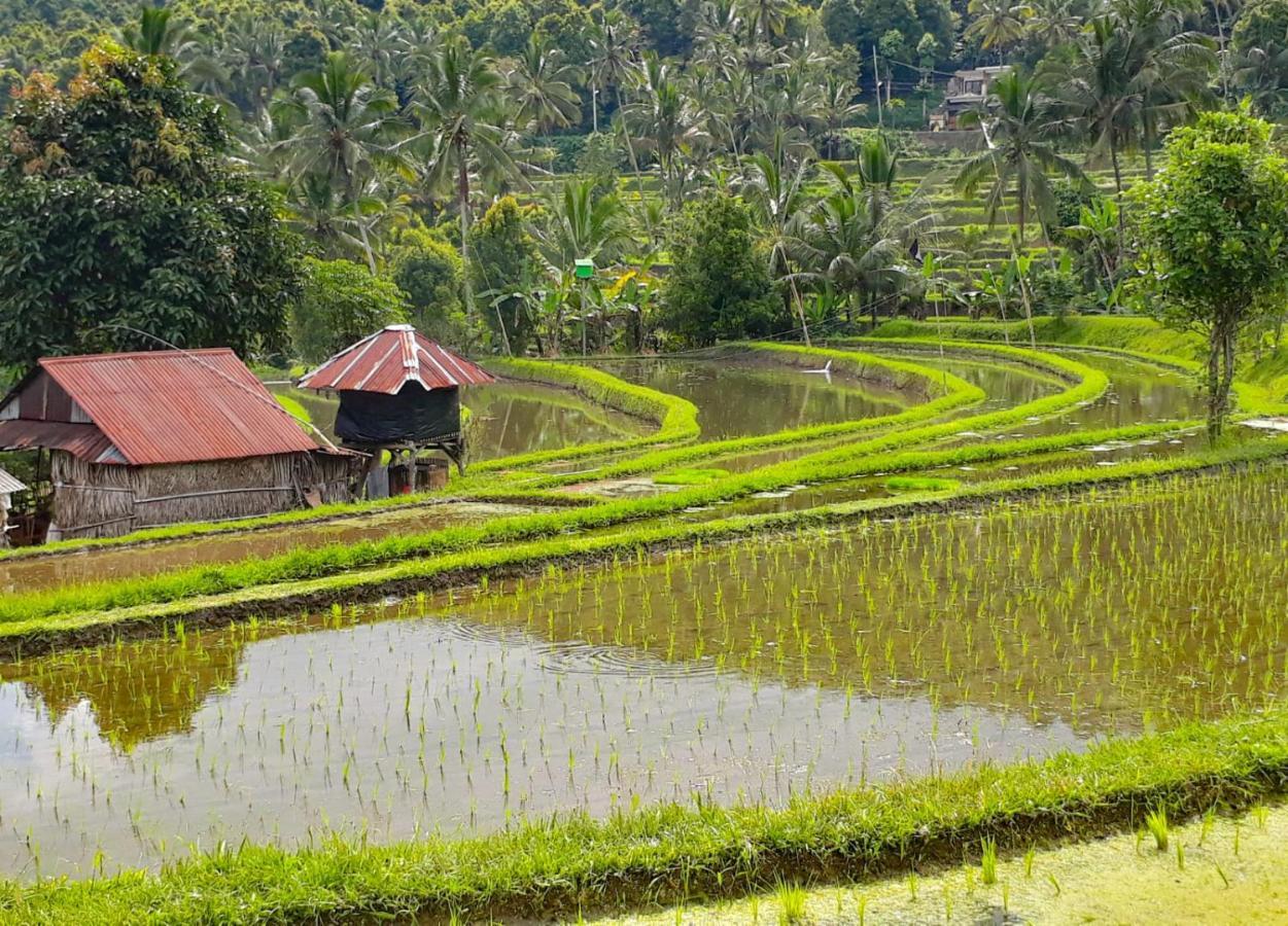 Bali Munduk Delux Bungalow Villa سينغاراجا المظهر الخارجي الصورة