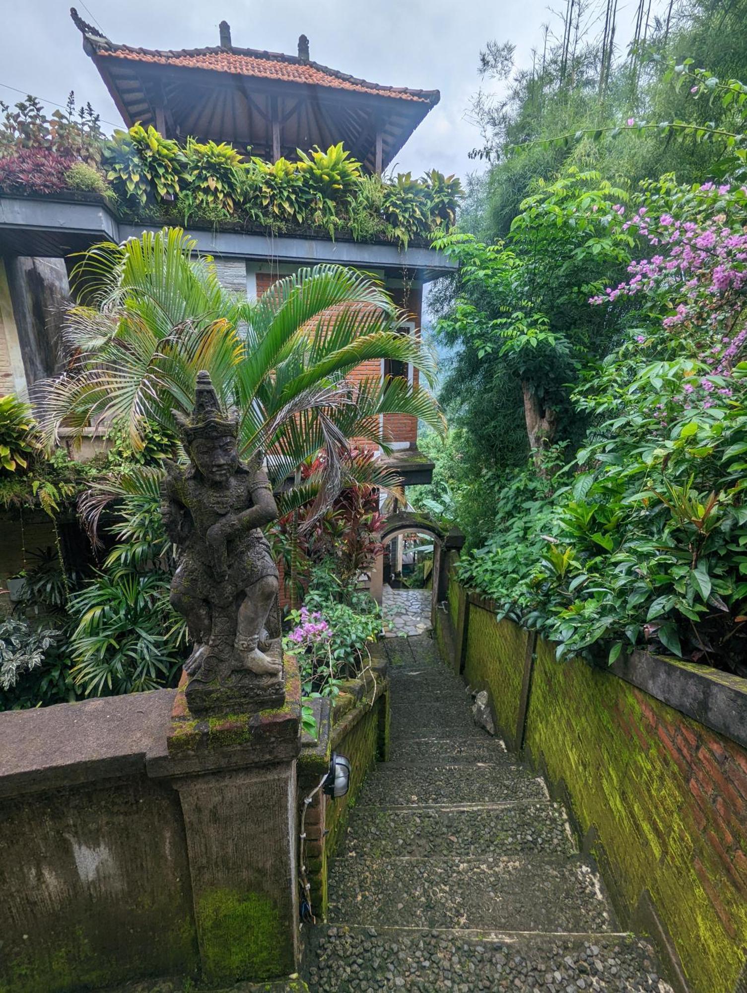 Bali Munduk Delux Bungalow Villa سينغاراجا المظهر الخارجي الصورة
