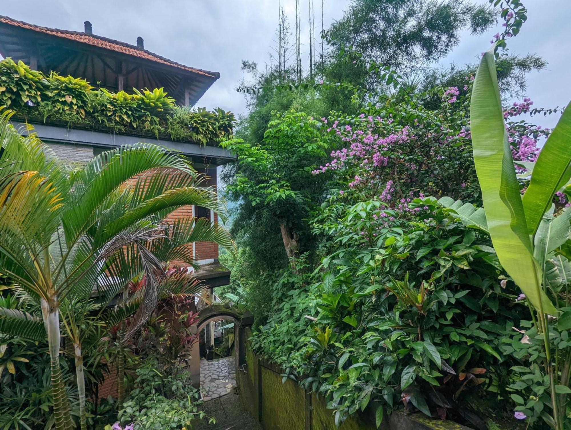 Bali Munduk Delux Bungalow Villa سينغاراجا المظهر الخارجي الصورة
